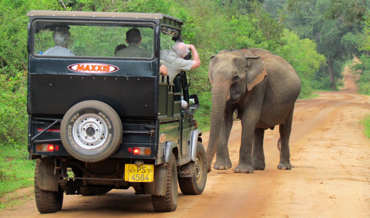 Yala Nationalpark